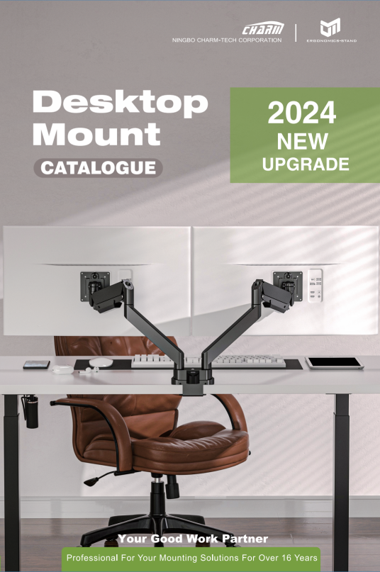 Desk Mount